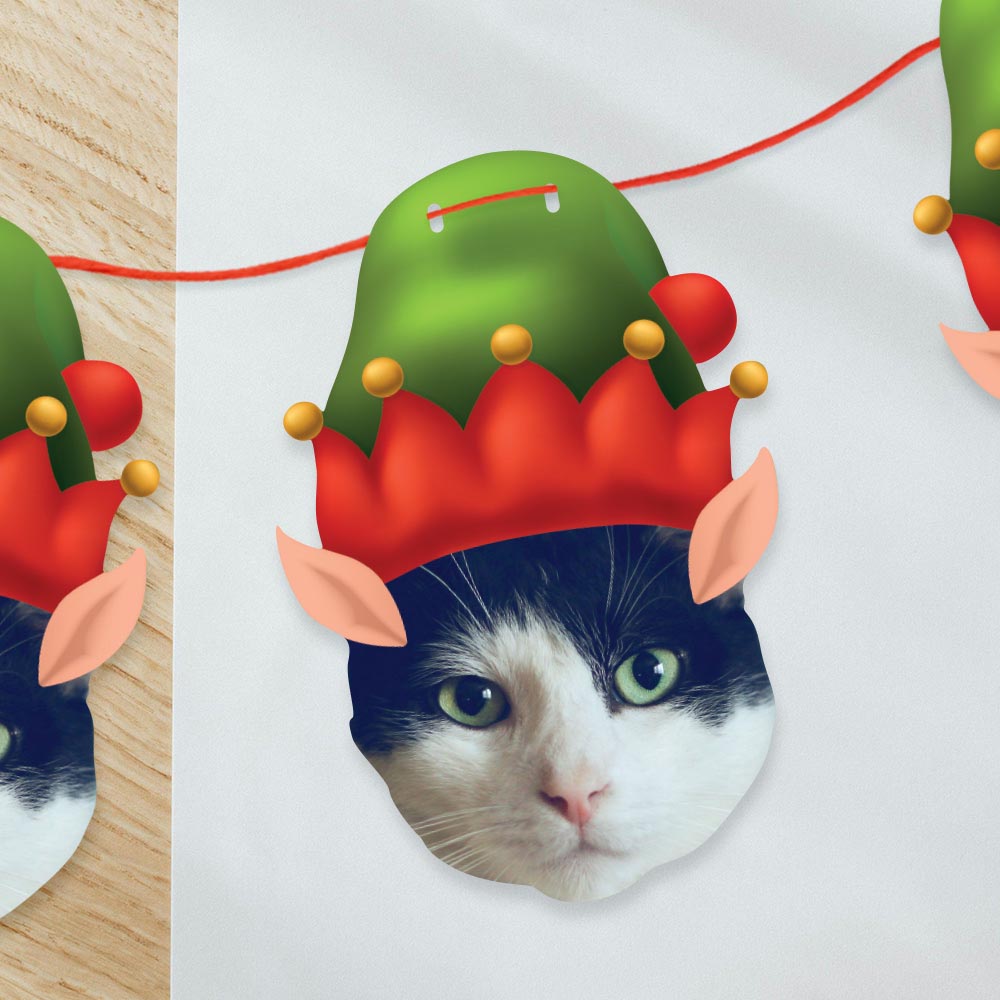 Pet Christmas Elf Hat Face Bunting