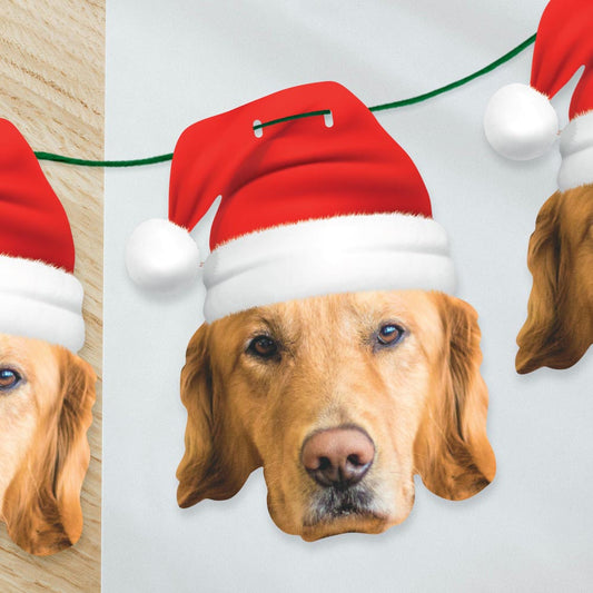 Pet Christmas Santa Hat Face Bunting